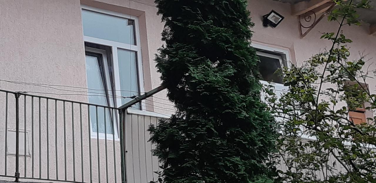 Transfer Apartment Лвив Екстериор снимка