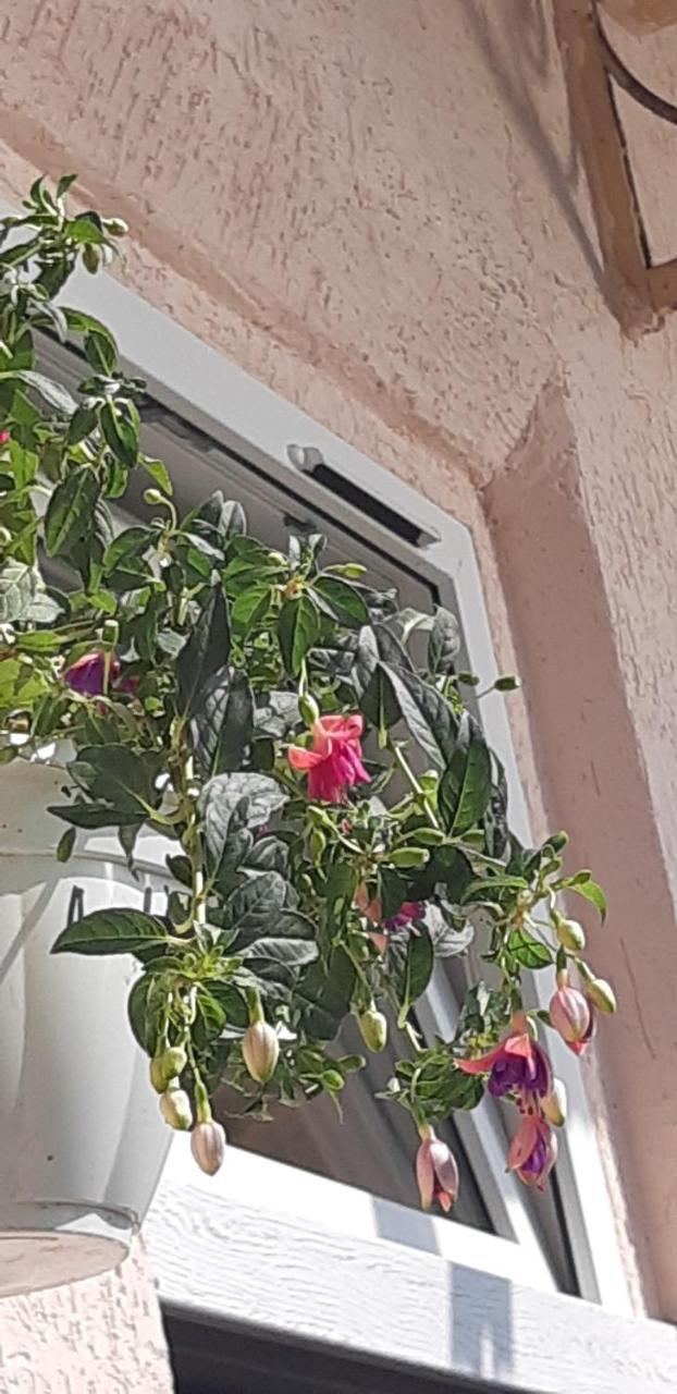 Transfer Apartment Лвив Екстериор снимка